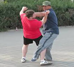 Yin Style Bagua Lion System