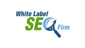 Matt Boley White Label SEO Firm