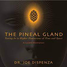 Dr. Joe Dispenza - The Pineal Gland - Tuning In To Higher Dimensions of Time and Space