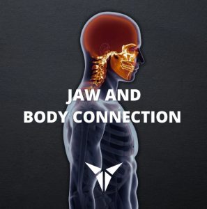 Jaws And Body Connection