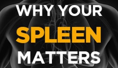 Perry Nickelston - Stop Chasing Pain - Why Your Spleen Matters