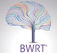 Terence Watts - BWRT - Reboot Your Life With BrainWorking Recursive Therapy