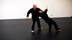 Steve Roadhouse Sexton - Hapkido Dynamite