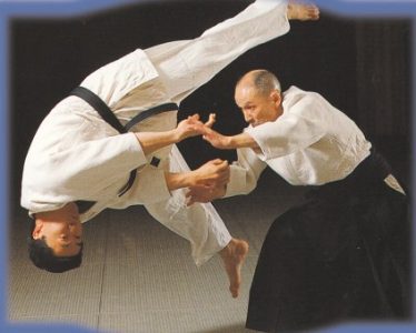 Aikido Yoshinkan - The Complete Set of Techniques ShareActions