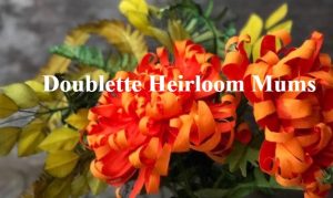 Amity Katharine Libby - Doublette Heirloom Mums