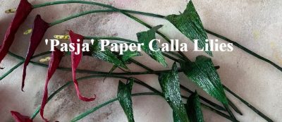 Amity Katharine Libby - 'Pasja' Paper Calla Lilies