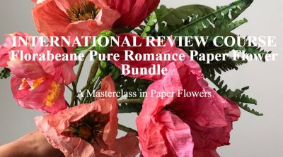 Amity Katharine Libby - TERNATIONAL REVIEW COURSE Florabeane Pure Romance Paper Flower Bundle