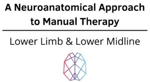 Ryan Foley - A Neuroanatomical Approach to Manual Therapy - Lower Limb & Lower Midline