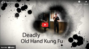 Clear Xing Yi Quan - Clear Martial Arts