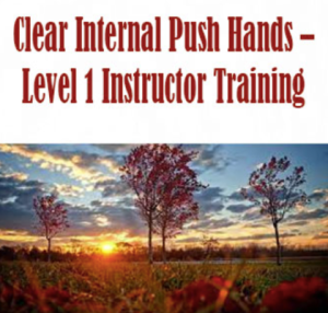 Logan Shaw - Clear Internal Push Hands - Level 1 Instructor Training