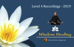 Master Chunyi Lin - Wisdom Healing - Higher Vibration Qigong Meditation Retreat (Level 4) 1