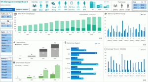 Mynda Treacy - Excel Dashboard Course 1