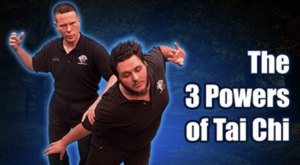 Richard Clear - The 3 Powers of Tai Chi