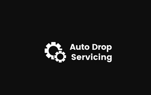 Ricky Mataka - Auto Drop Servicing 1