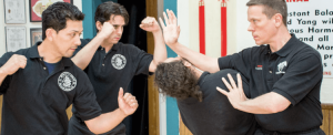 Sigung Clear - Clear's Bagua Intensive Online Course