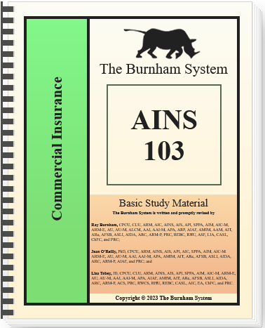 The Burnham System - AINS 103 - Digital & Audio Book