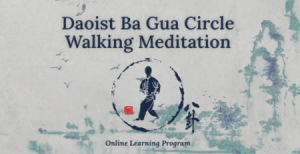 Tom Bisio - Daoist Ba Gua Circle Walking Meditation Online Learning Program