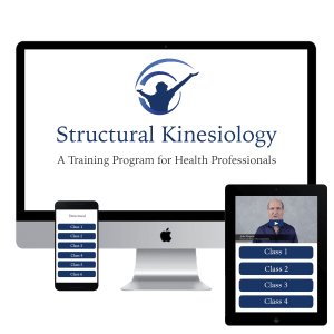 John Maguire - Structural Kinesiology Course Online