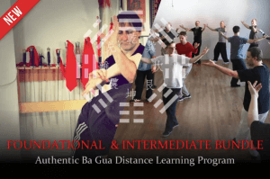 Tom Bisio - Authentic Ba Gua Zhang Online Learning - Foundational & Intermediate Two-Program Bundle