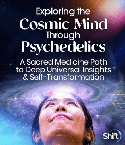 Chris Bache - Exploring the Cosmic Mind Through Psychedelics