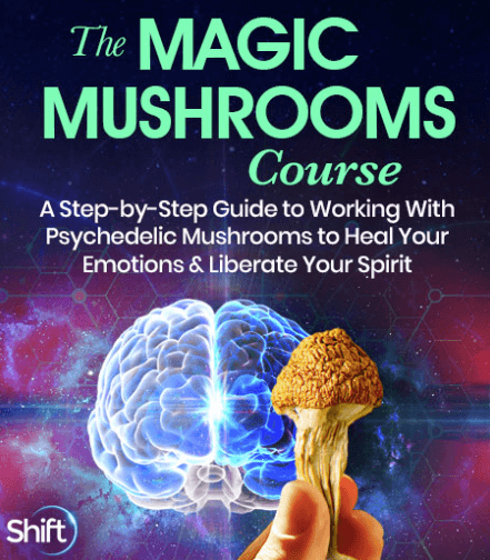 Christopher Hobbs - The Magic Mushrooms Course