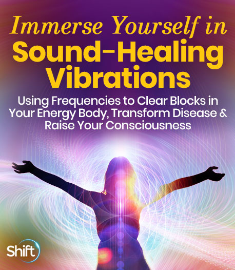 David Gibso - Immerse Yourself in Sound-Healing Vibrations