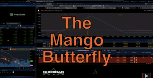 Jay Bailey - The Mango Butterfly Deep Dive 2023