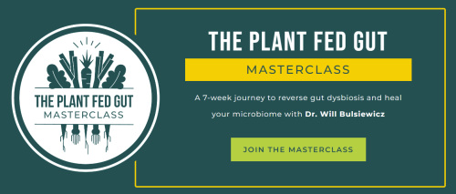 Will Bulsiewicz - The Plant Fed Gut Masterclass 2023