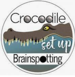 Roby Abeles - Brainspotting and Addictions with the Crocodile Set Up
