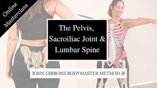 John Gibbons - Pelvis, Sacroiliac Joint & Lumbar Spine Masterclass