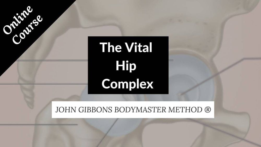 John Gibbons - The Vital Hip Complex