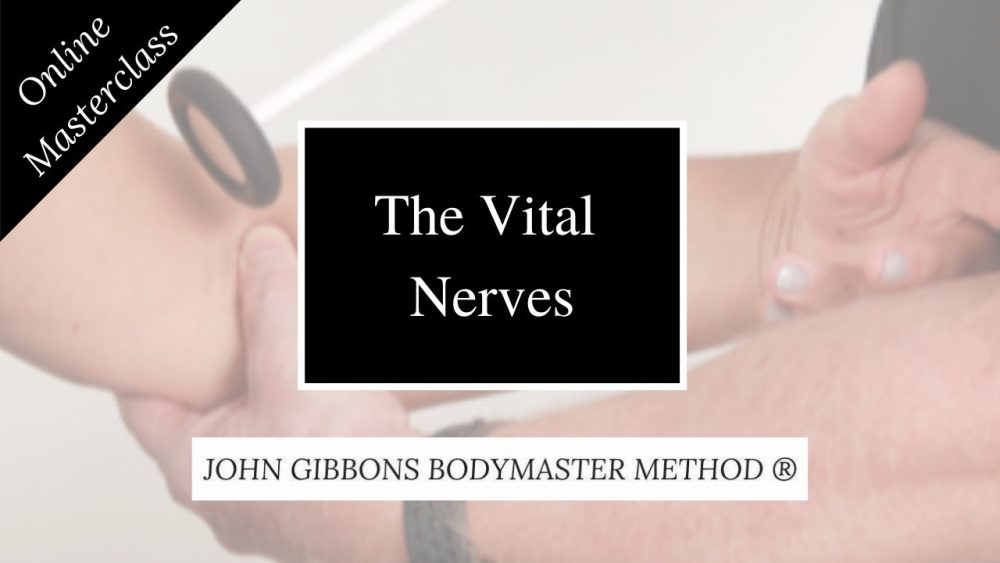 John Gibbons - The Vital Nerves Masterclass