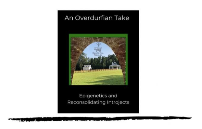 John Overdurf - An Overdurfian Take on… Epigenetics and Reconsolidating Introjects