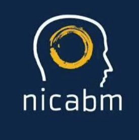 NICABM - Brain-Smart Webinar Series 2015