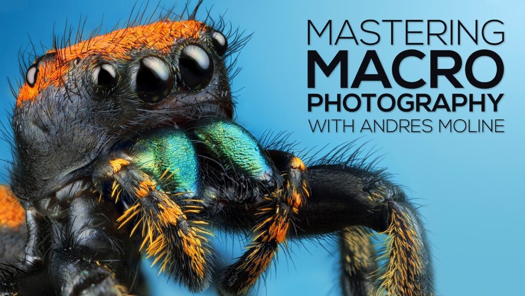 Andres Moline - Mastering Macro Photography