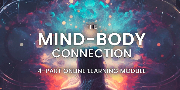 John Demartini - The Mind - Body Connection (Videos Only)