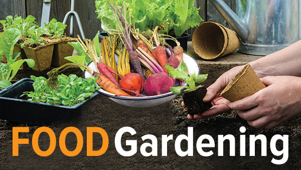 Melinda Myers - How to Grow Anything: Food Gardening for Everyone