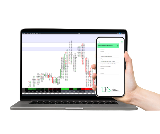 The Forex Scalpers - The Indices Orderflow Masterclass