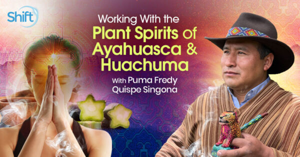 Puma Fredy Quispe Singona - The Shift Network - Working With the Plant Spirits of Ayahuasca and Huachuma