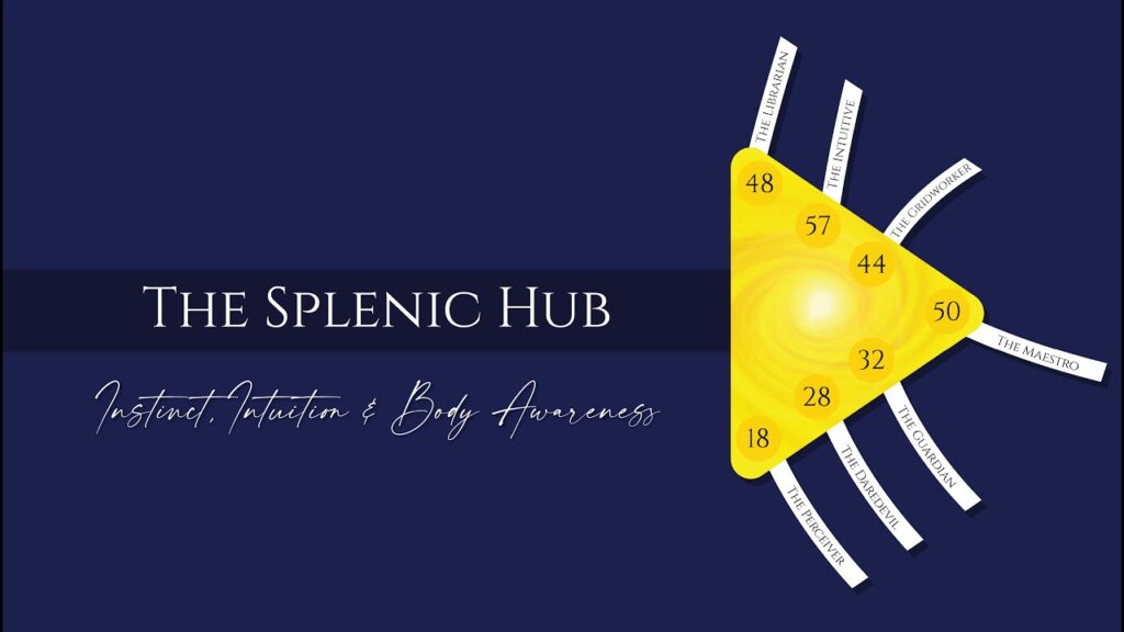 Unlock Your Design Academy - The 7 Splenic Hub Archetypes