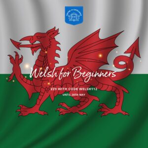 Centre of Excellence - Welsh for Beginners Diploma Course