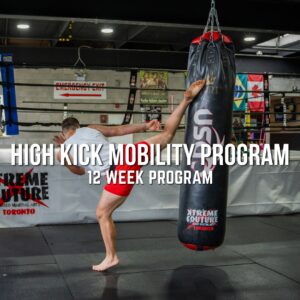 Flexibility Maestro - 12 Week High-Kick Mobility Program