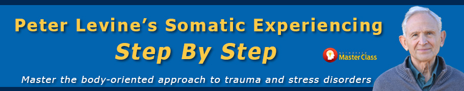 Peter Levine’s Somatic Experiencing, Step by Step - Master the Body-oriented Approach to Trauma and Stress Disorders