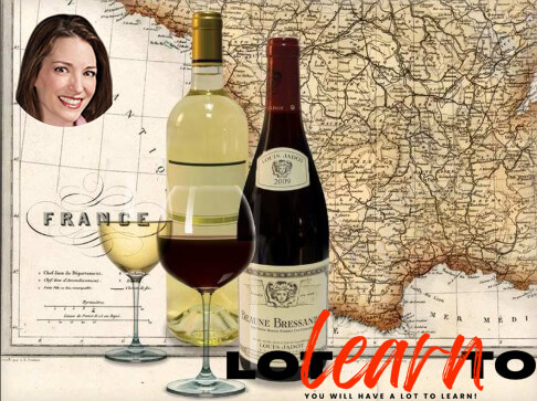 Jennifer Simonetti-Bryan - The Everyday Guide to Wines of France