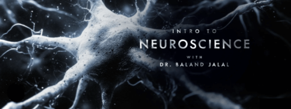 Peterson Academy - Baland Jalal - Intro to Neuroscience