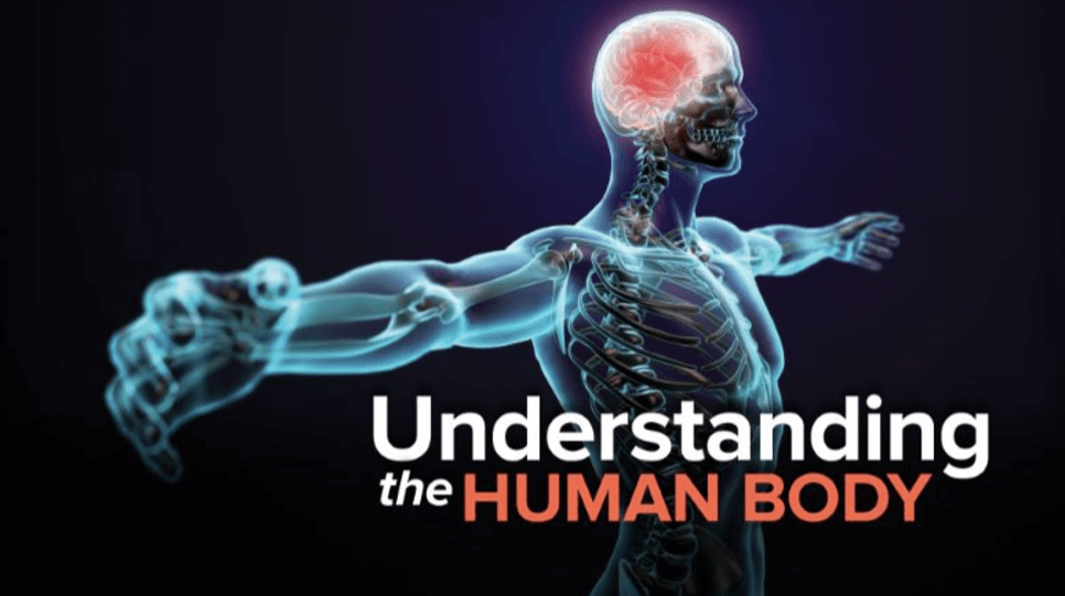 TTC Video - Anthony Goodman - Understanding the Human Body 2nd Edition