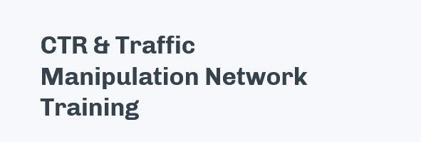 Chris Palmer - CTR & Traffic Manipulation Network Training